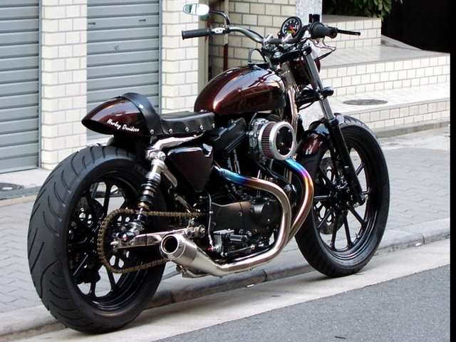 Une Harley-Davidson Sportster de vilain garnement, sortie de chez Tramp Cycles, et découverte via Bikers Cafe.