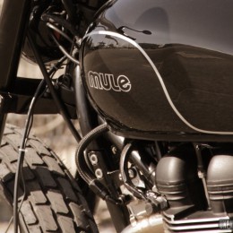 Triumph Bonneville street-tracker by Mule Motorcycles... Made in Europe!