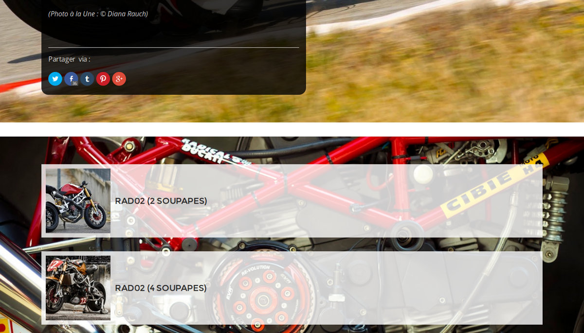 Le nouveau site de Radical Ducati ? Une création de votre serviteur...