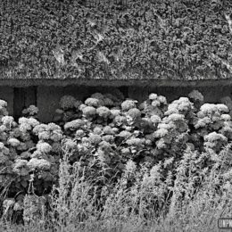 Souvenirs (tortueux) du Massif armoricain...