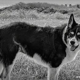 Souvenirs (tortueux) du Massif armoricain...
