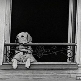 Souvenirs (tortueux) du Massif armoricain...