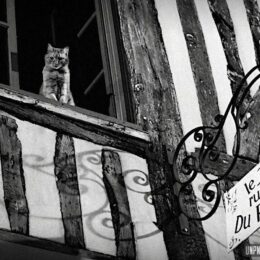 Souvenirs (tortueux) du Massif armoricain...