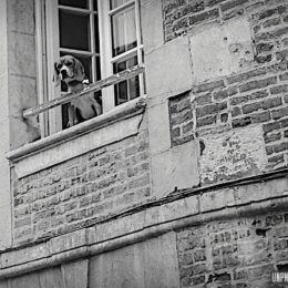 Souvenirs (tortueux) du Massif armoricain...