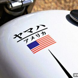 Yamaha XS 650 scrambler : "The Mushman Runner" de BCKustoms.