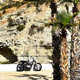 Yamaha XS 650 scrambler : "The Mushman Runner" de BCKustoms.